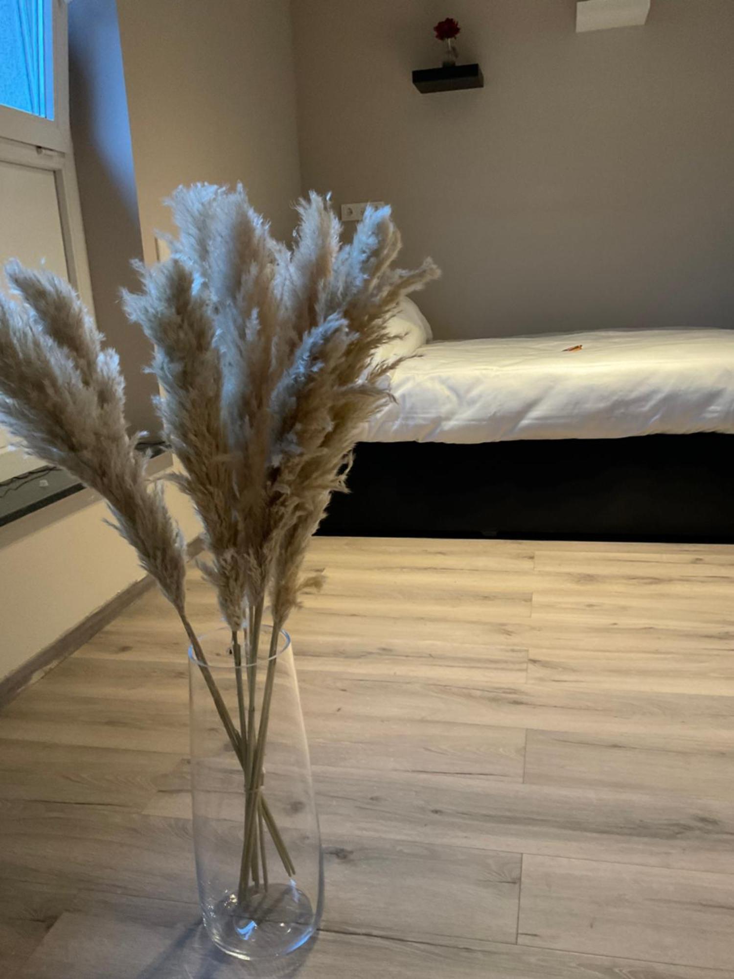 Modernes Studio Am Dreilaendereck 阿尔斯多夫 外观 照片